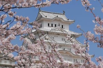 멀리 큰 전각이 보이고 벚꽃 나무의 줄기가 보인다.