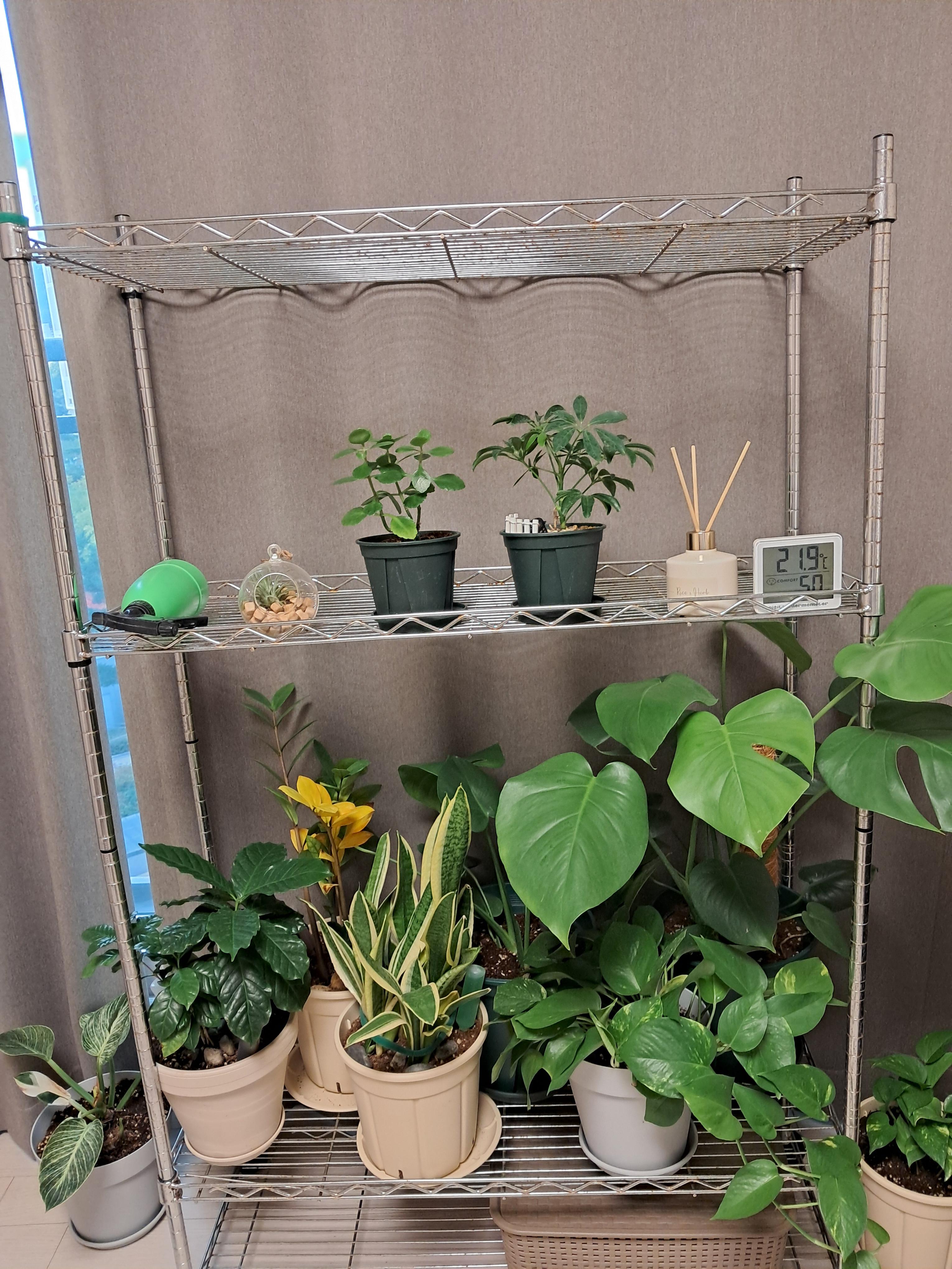 기존에 쓰던 화분 정리대가 녹이 슬어 있다.