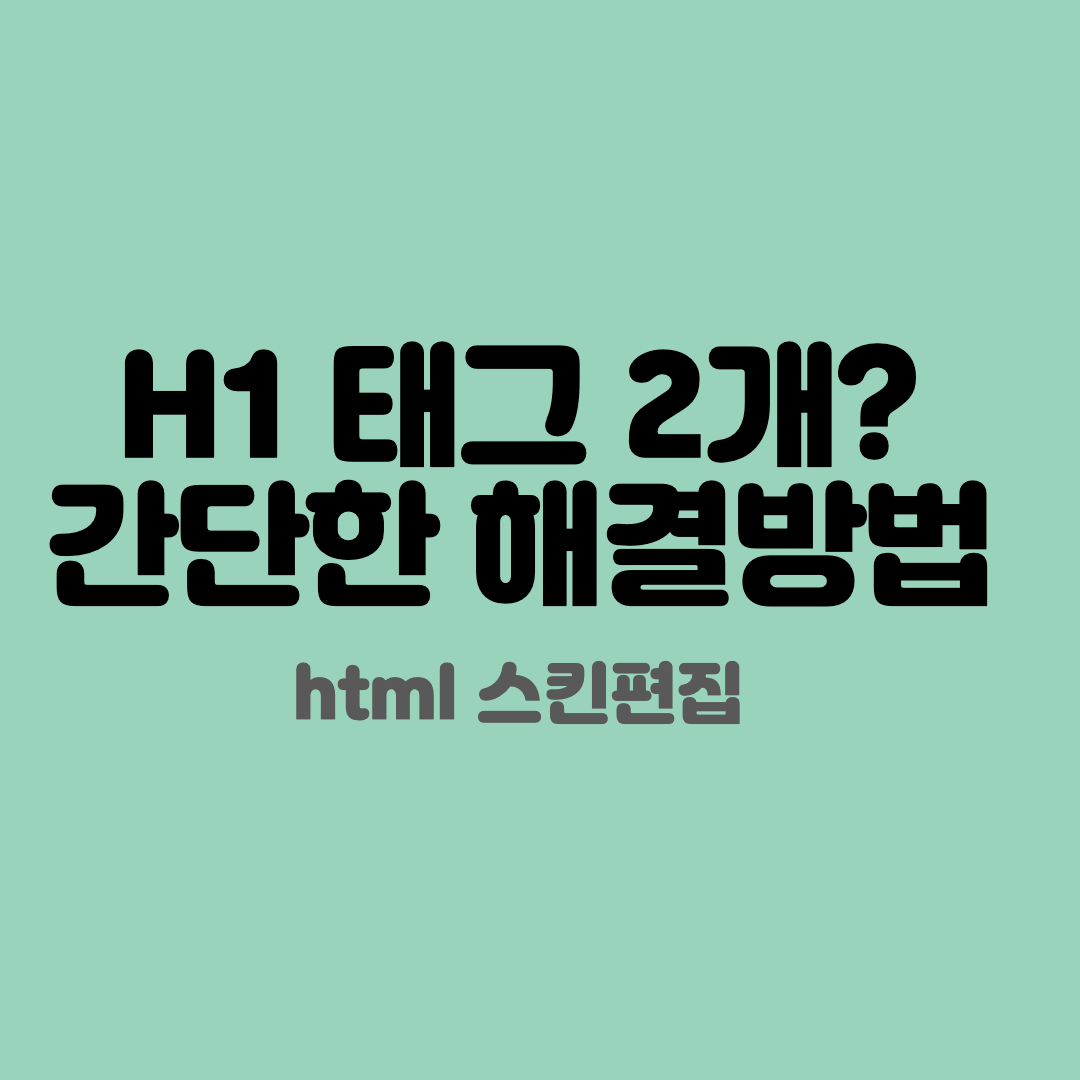 h1 태그 2개 해결책