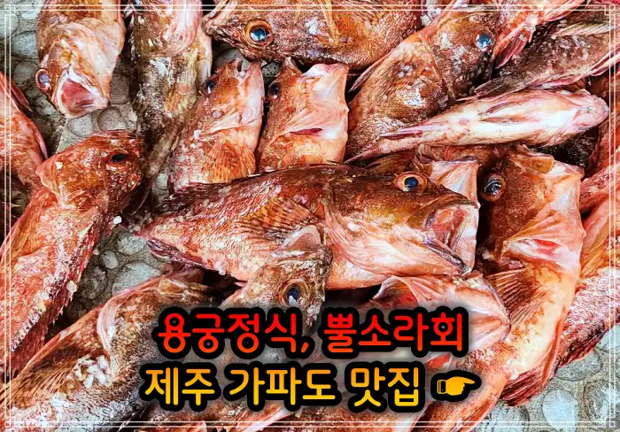 제주 가파도 맛집 용궁정식&#44; 소라볶음밥