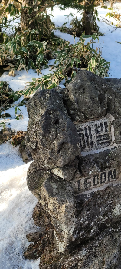한라산해발1600m