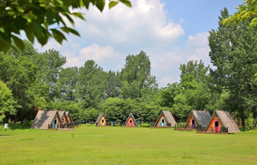 2025 Colorful Garden 자라섬 꽃 페스타 완전 정복 가이드!!