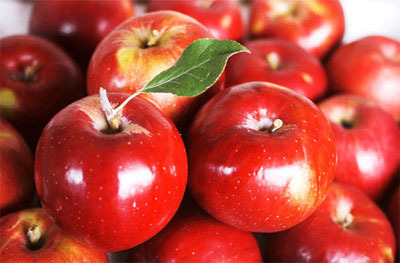 사과와 당근 궁합, 사과와 토마토 궁합, 사과와 바나나 궁합, 사과와 계란 궁합