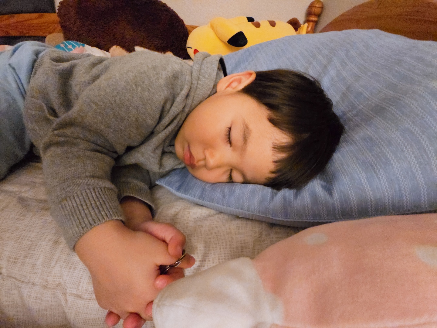 귀국. 그리고 다시 일상.