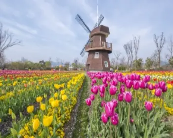 순천만 국가정원_7