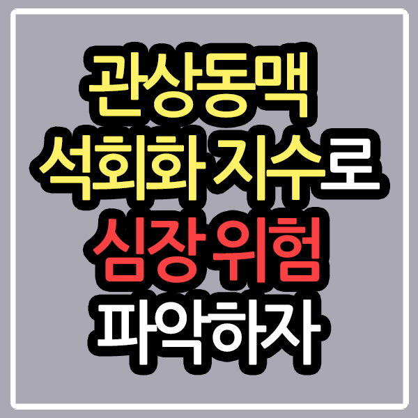 관상동맥 석회화 지수