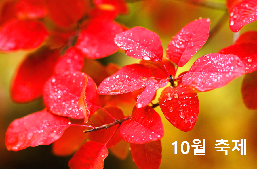 10월축제