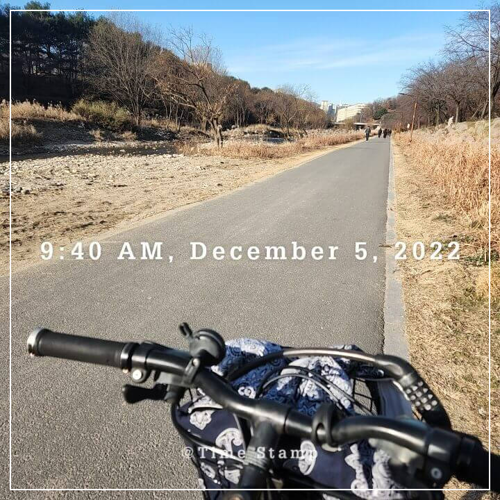 갓생-실천법-자전거타기-MZ신조어