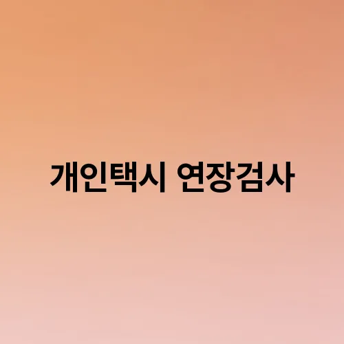 개인택시 연장검사