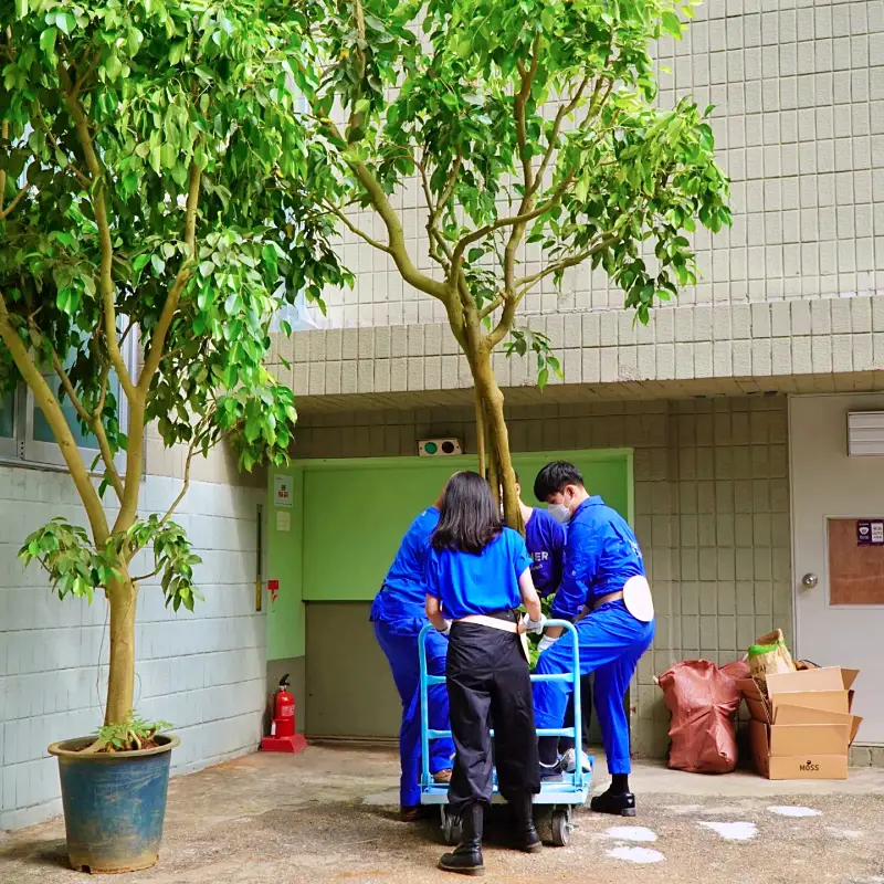 돈 잘버는 젊은사장 식물 인테리어로 부자가 되다 '억' 소리 나는 플랜테리어 조경설계 실내조경 식집사 서장훈 주우재 추천 소개