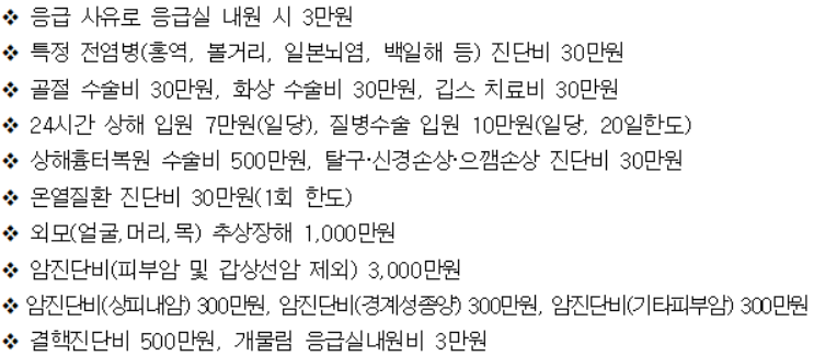 다태아 안심보험