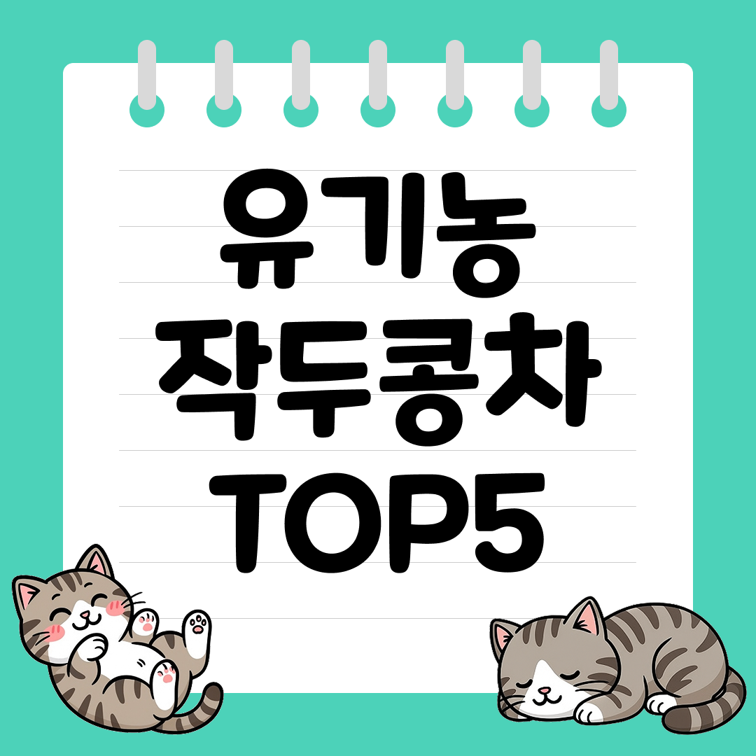 비염과 감기에 좋은 유기농 작두콩차 추천 순위 TOP5