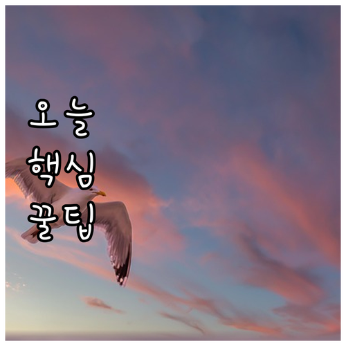 자동차 보험료 절약의 핵심 다양한 할