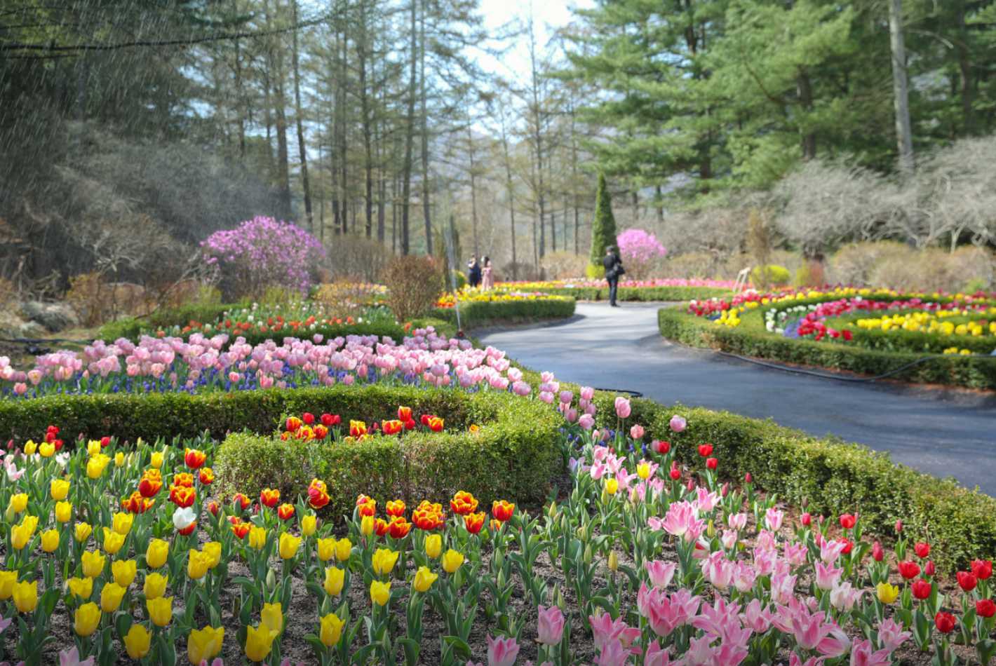 아침고요수목원