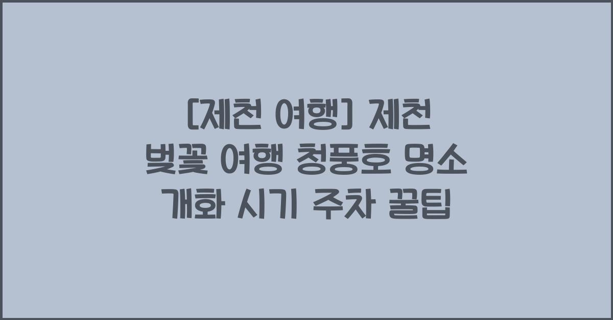 제천 벚꽃 여행