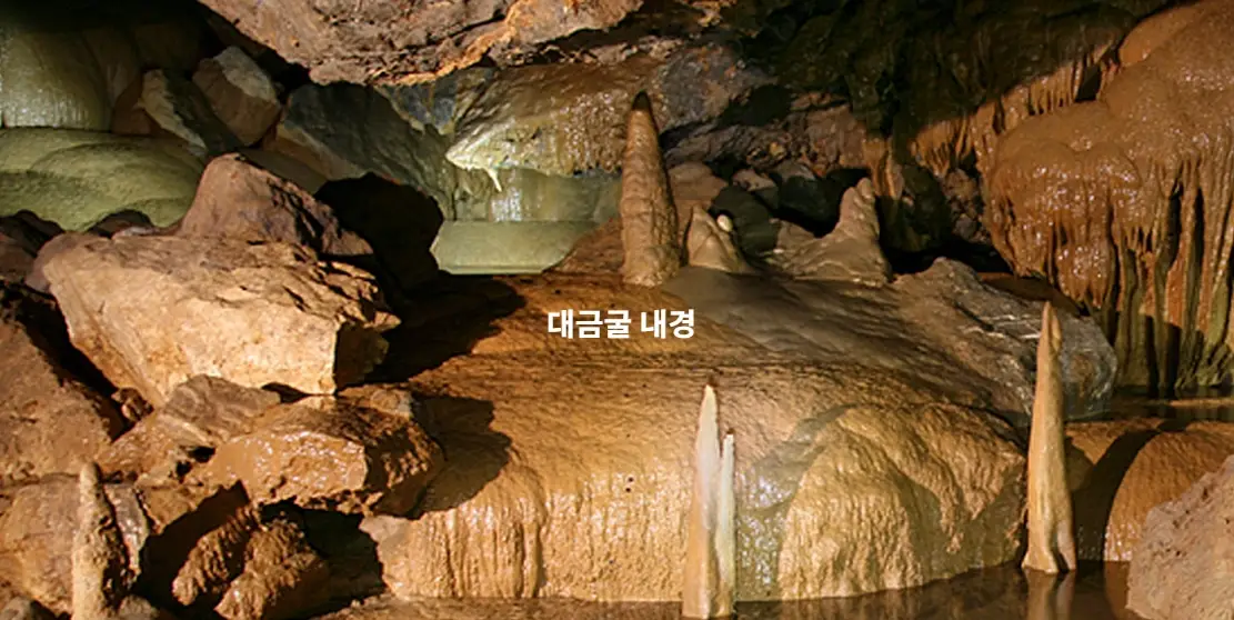 삼척-대금굴-입장료-운영시간-이용-안내
