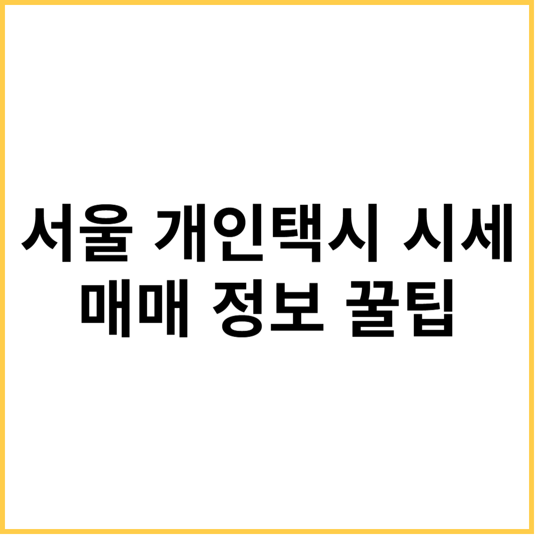 서울 개인택시 시세23