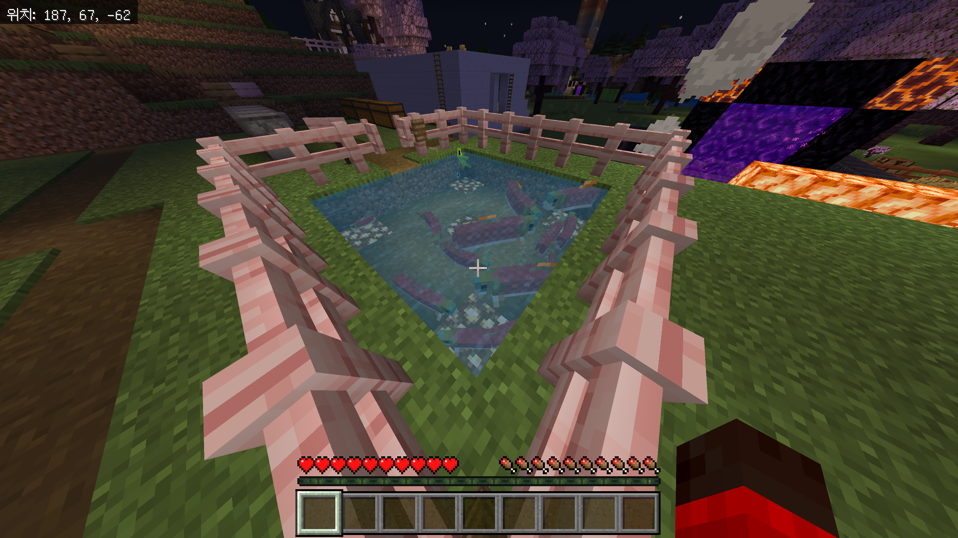 마인크래프트 앵무새를 길들이는 방법