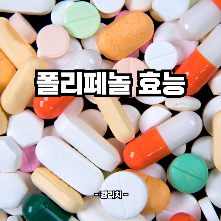 폴리페놀 효능