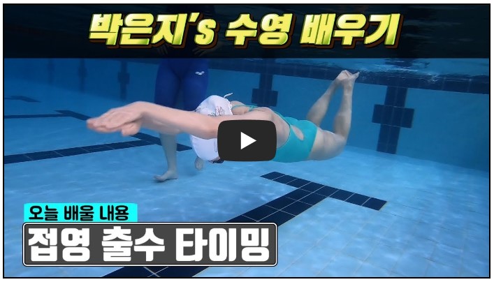 수영 유튜버 순위 TOP 10 7