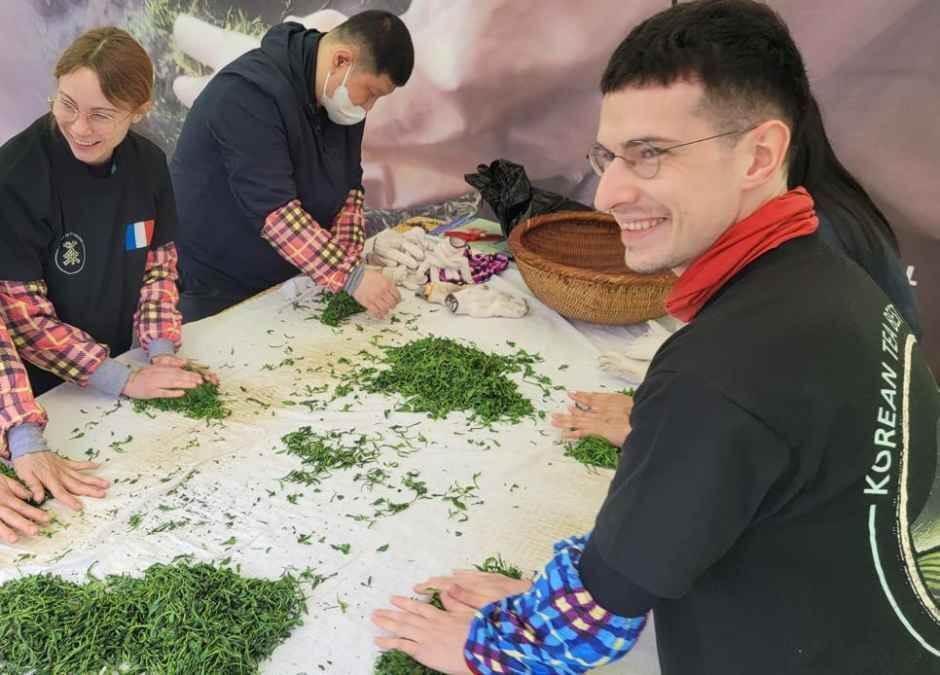 하동야생차문화축제