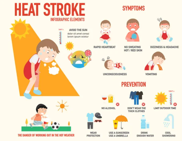 열사병 (Heat Stroke)