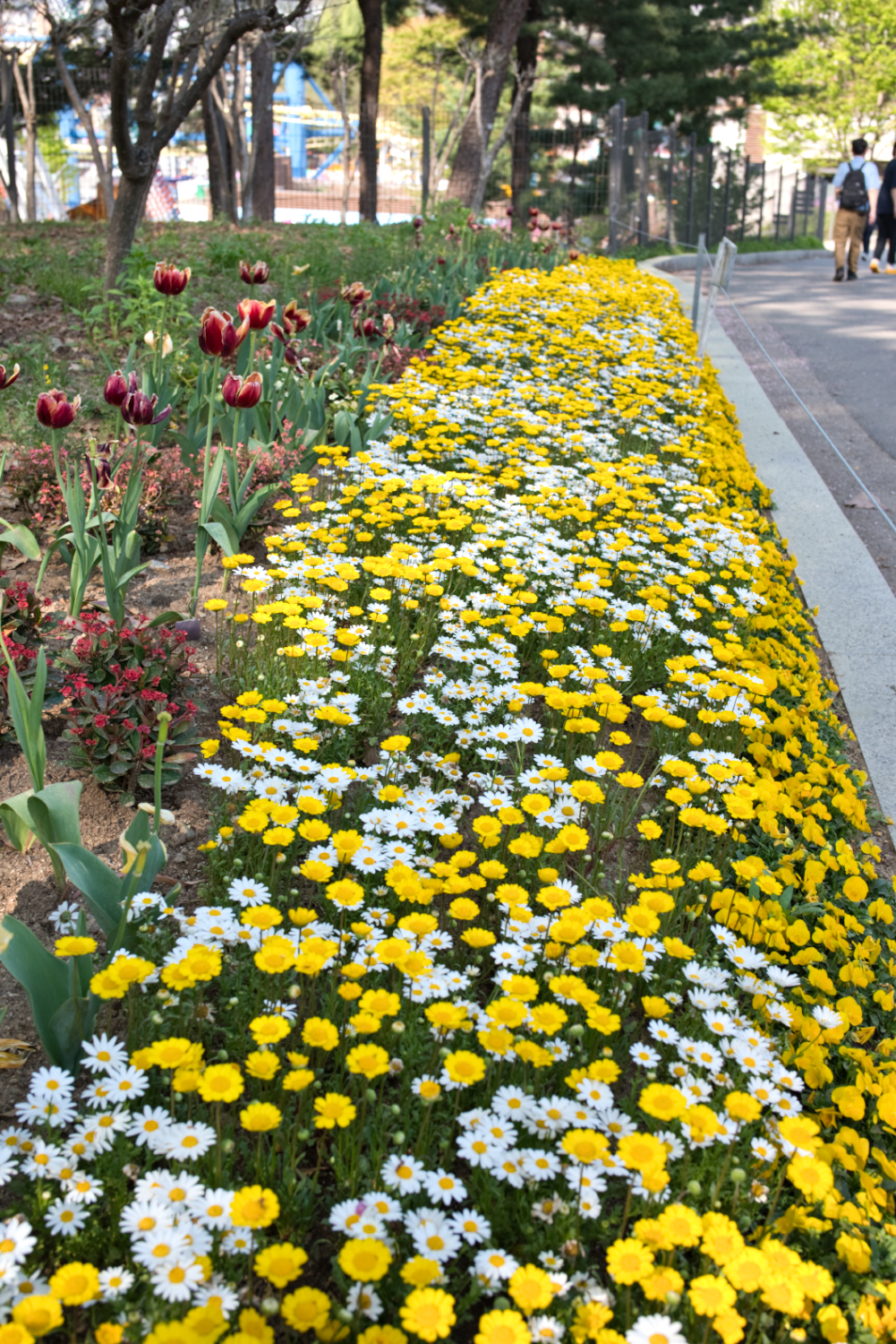 추억의 어린이대공원