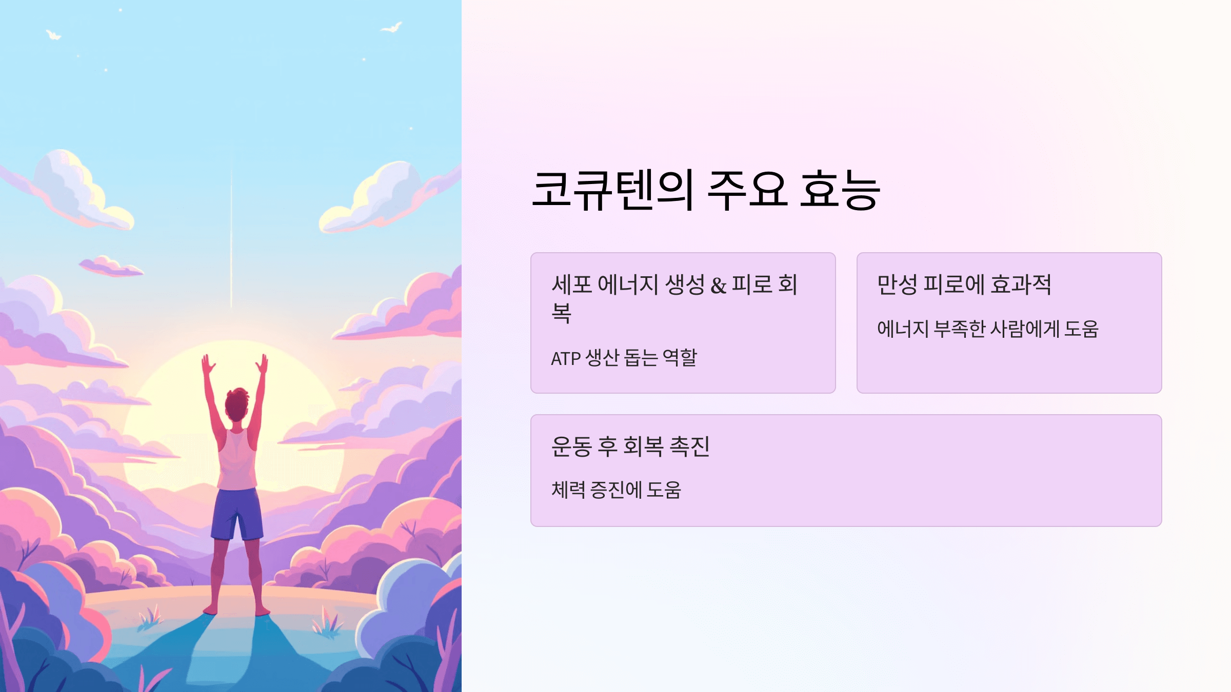 코큐텐과 관련된 사진입니다.