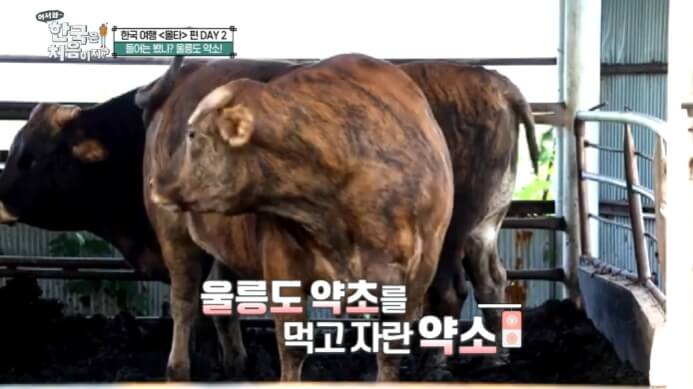 약소