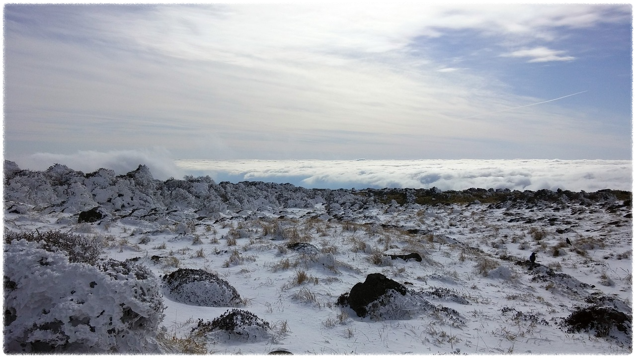 한라산 탐방로 예약 시스템