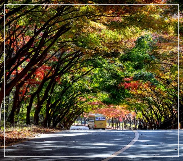 내장산-케이블카-산행코스