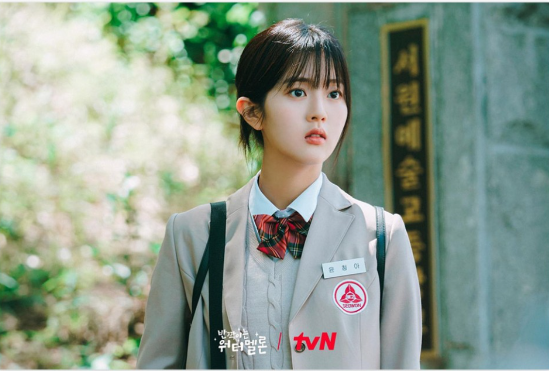 tvN 반짝이는 워터멜론 등장인물 줄거리 인물관계도