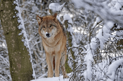 몽골 여행하기 좋은 계절&amp;#44; 준비물&amp;#44; 복장