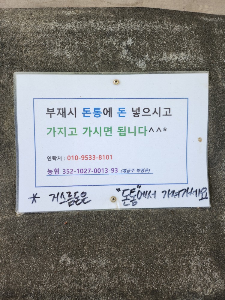 구입 방법