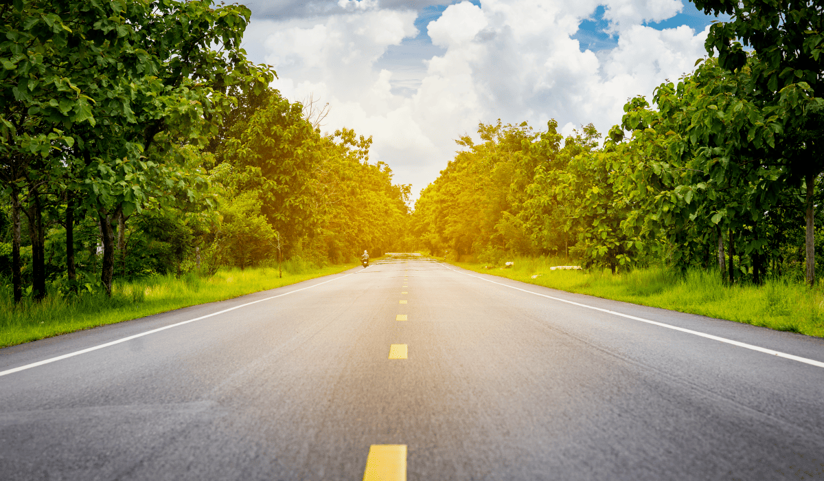 운전자보험_인기순위_11