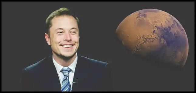 일론 머스크 재산은 얼마?