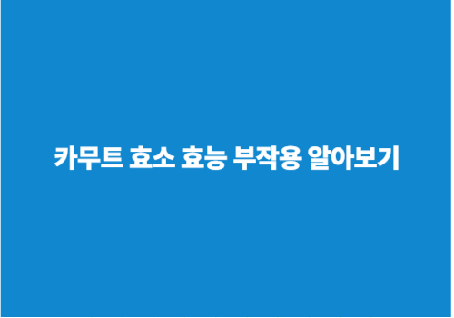 카무트 효소 효능 부작용 알아보기