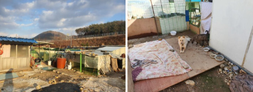 제이홉 임곡유기견 쉼터 후원 전