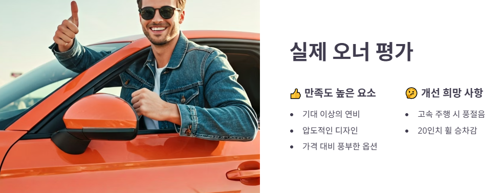 실제 오너 후기