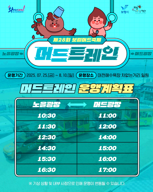 보령머드축제