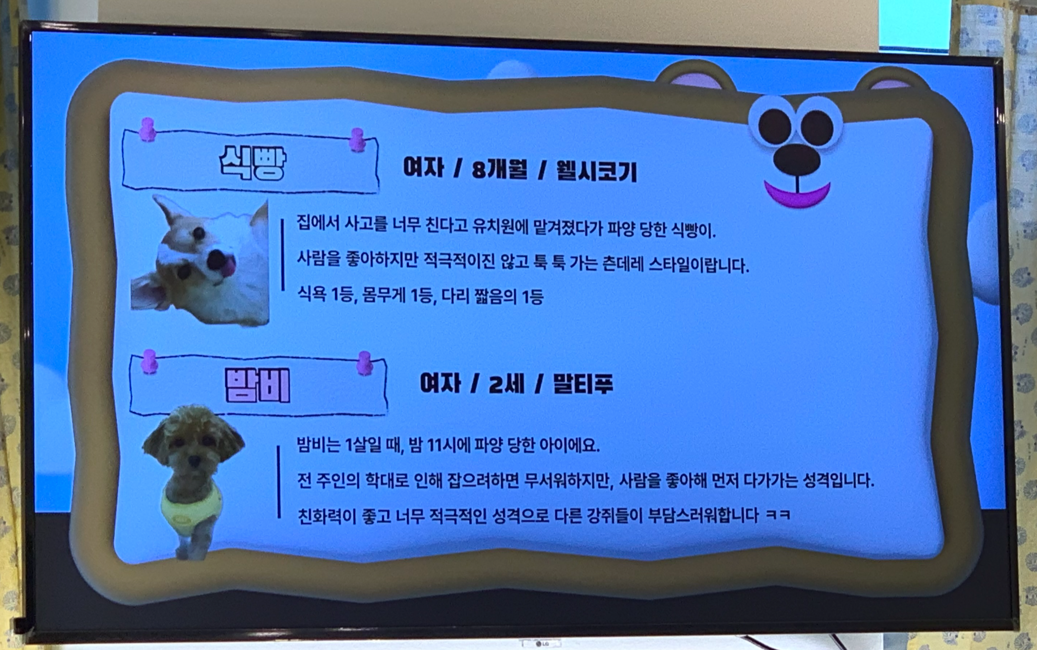 부천 부천시청 애견카페 애견유치원 애견호텔 멍스냅