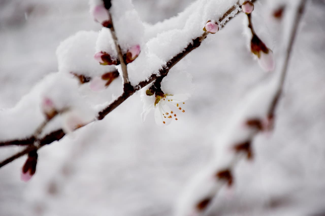 고향사랑기부제 세액공제