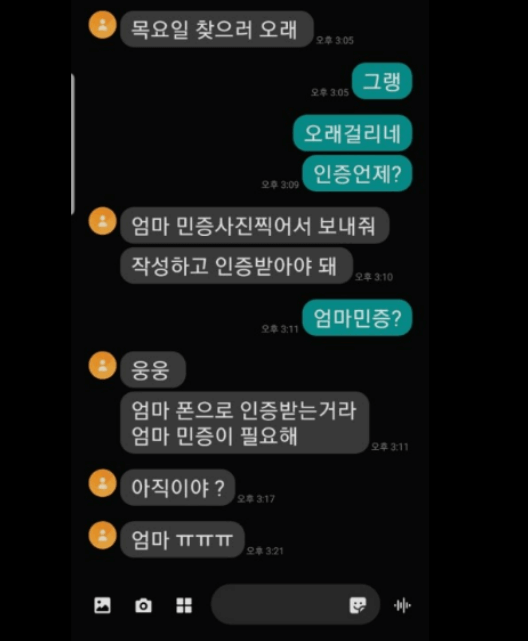 시티즌 코난 앱 설치 피싱 아이즈