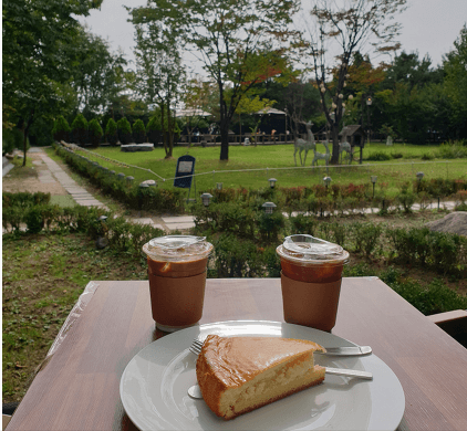 구리코스모스축제-한강예술제-자전거대여 빌려타기-근처맛집-2023년.총정리