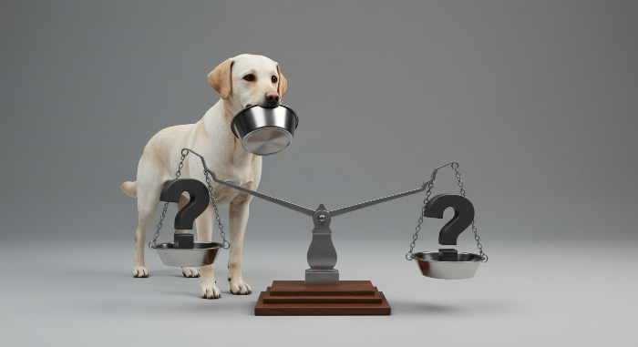 강아지 사료 선택 기준 ,종류, 주의사항