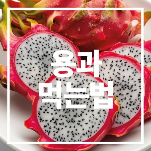 용과 먹는법