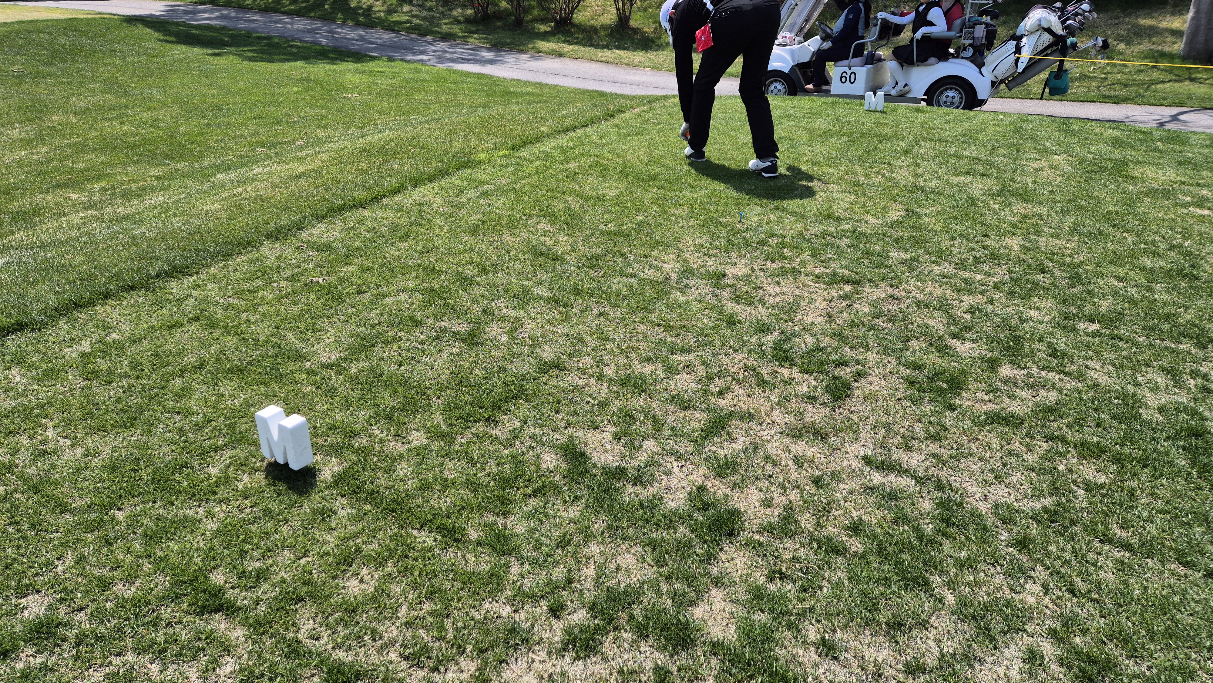 마에스트로cc 라운드 후기