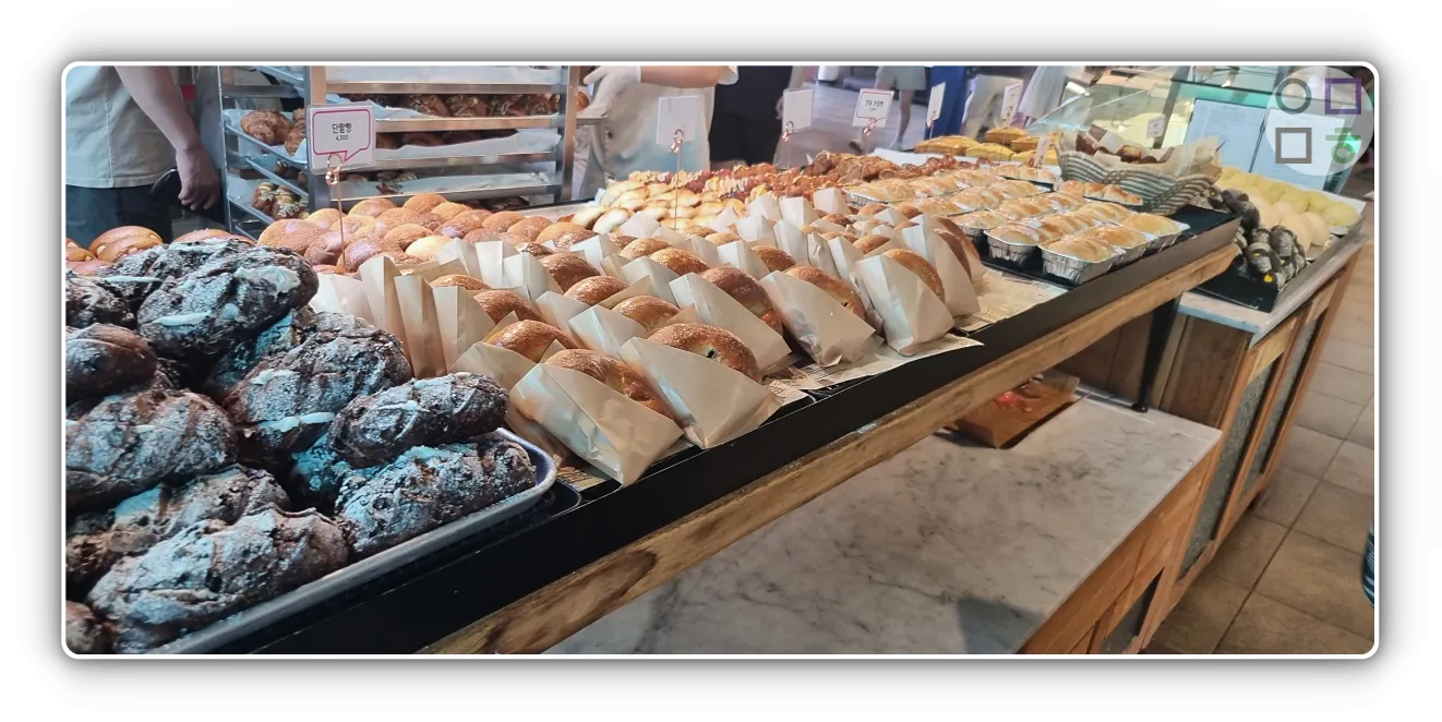 강원도-속초-고성-바다정원-카페-수많은-빵들