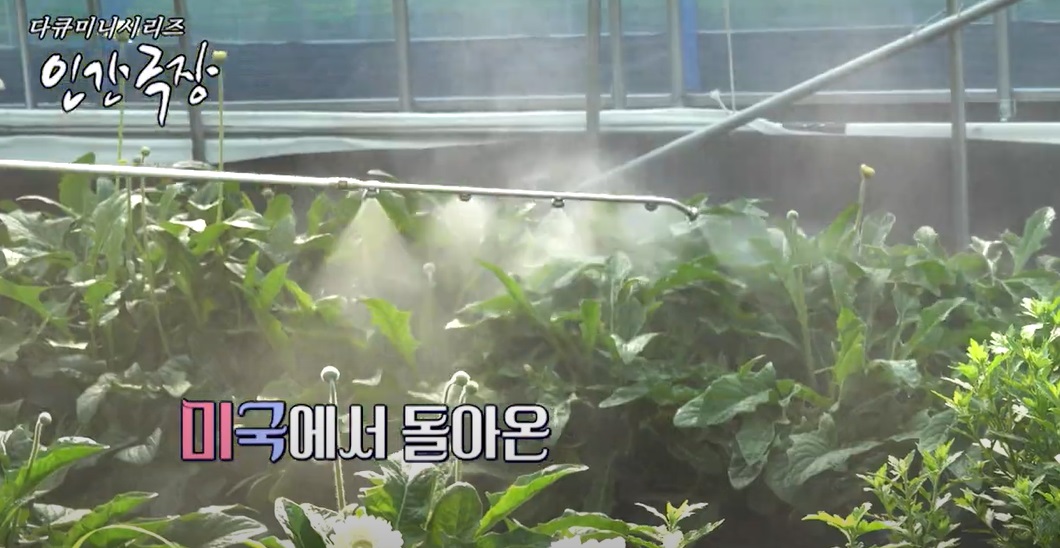 데레사의꽃밭-영천