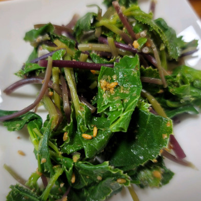 6시내고향 합천 산채밥상 맛집(발길따라 고향기행)
